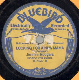 Looking For A New Mama