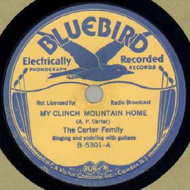 My Clinch Mountain Home