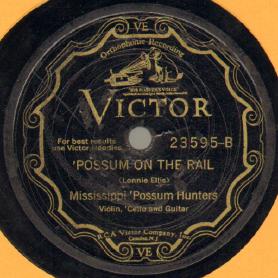 'Possum On The Rail