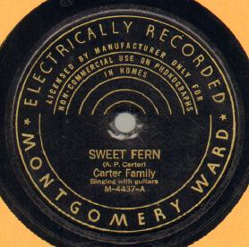 Sweet Fern